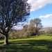 May be an image of sky, grass, tree and nature