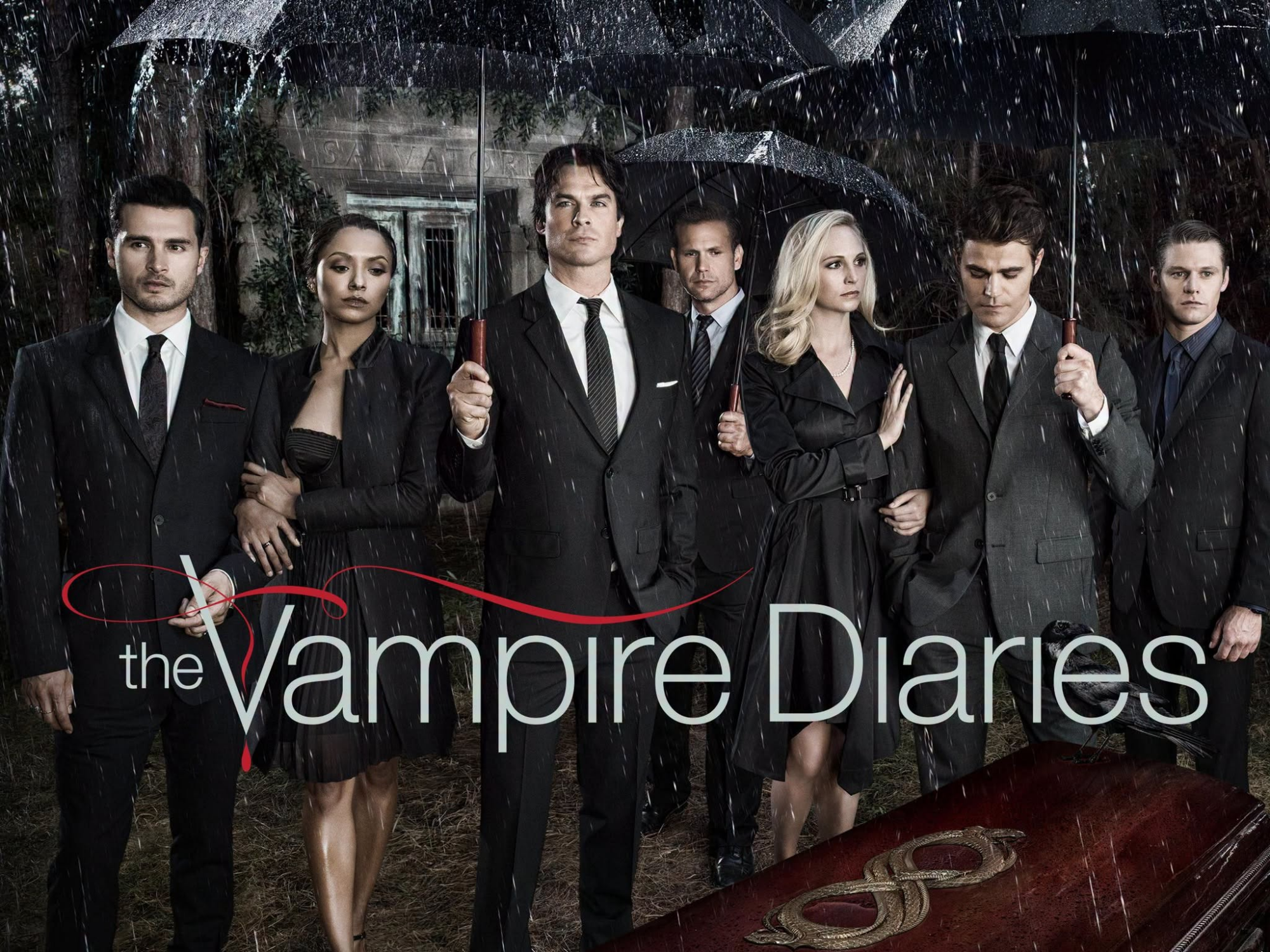 May be an image of text that says 'theVampire the Diaries'